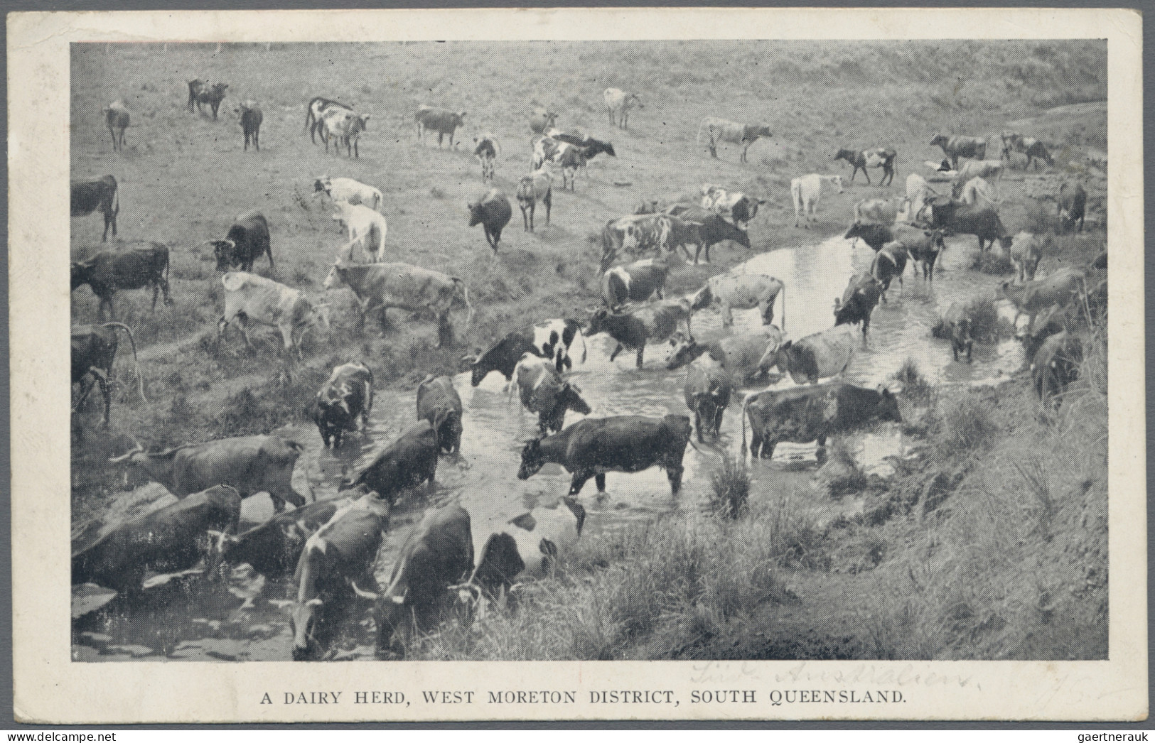 Queensland - Postal Stationery: 1910, 1d Red QV Black & White Pictorial Issue Po - Covers & Documents