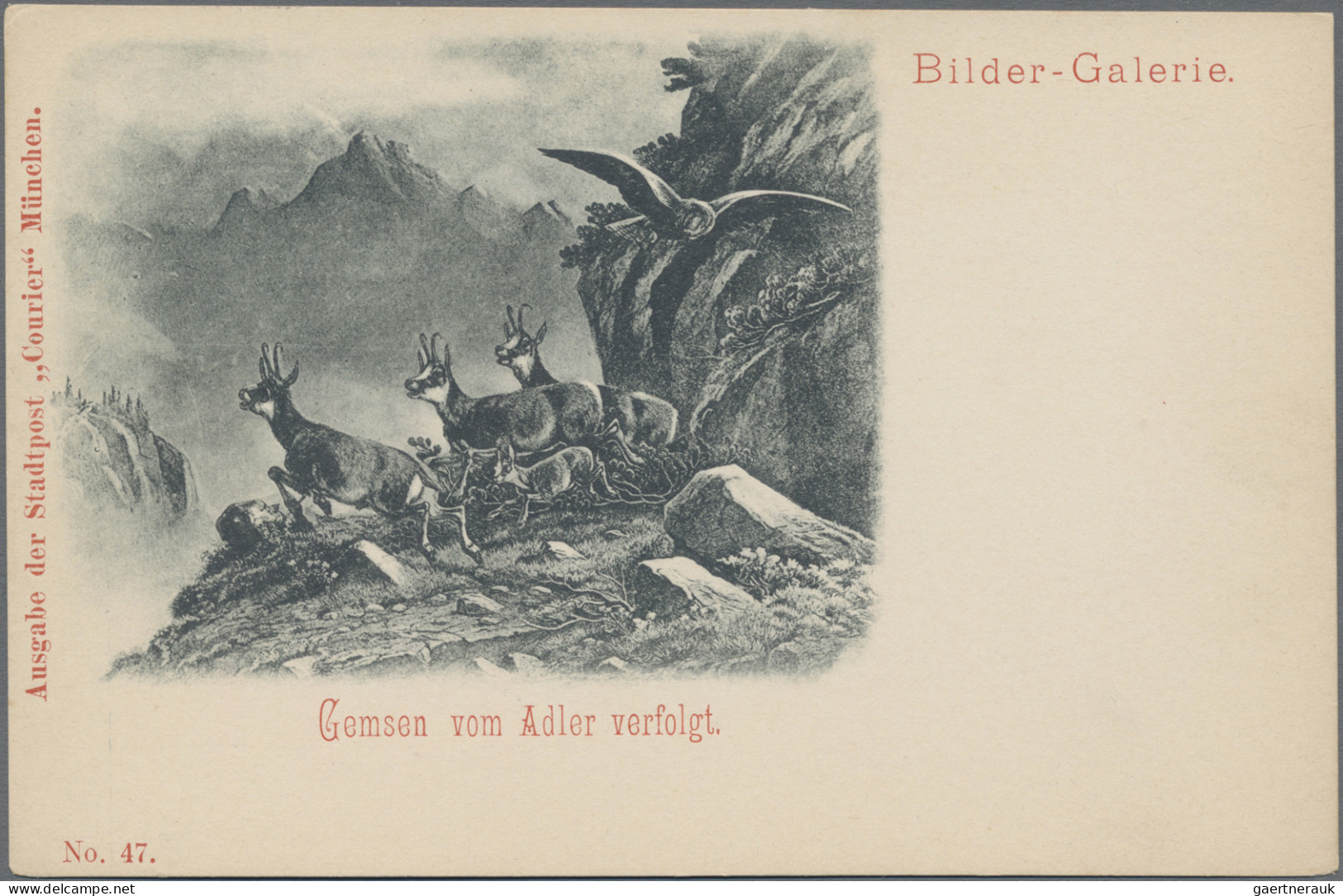 Thematics: Animals-birds Of Prey: 1897, MÜNCHEN COURIER, Bildpostkarte Mit Aufge - Aigles & Rapaces Diurnes