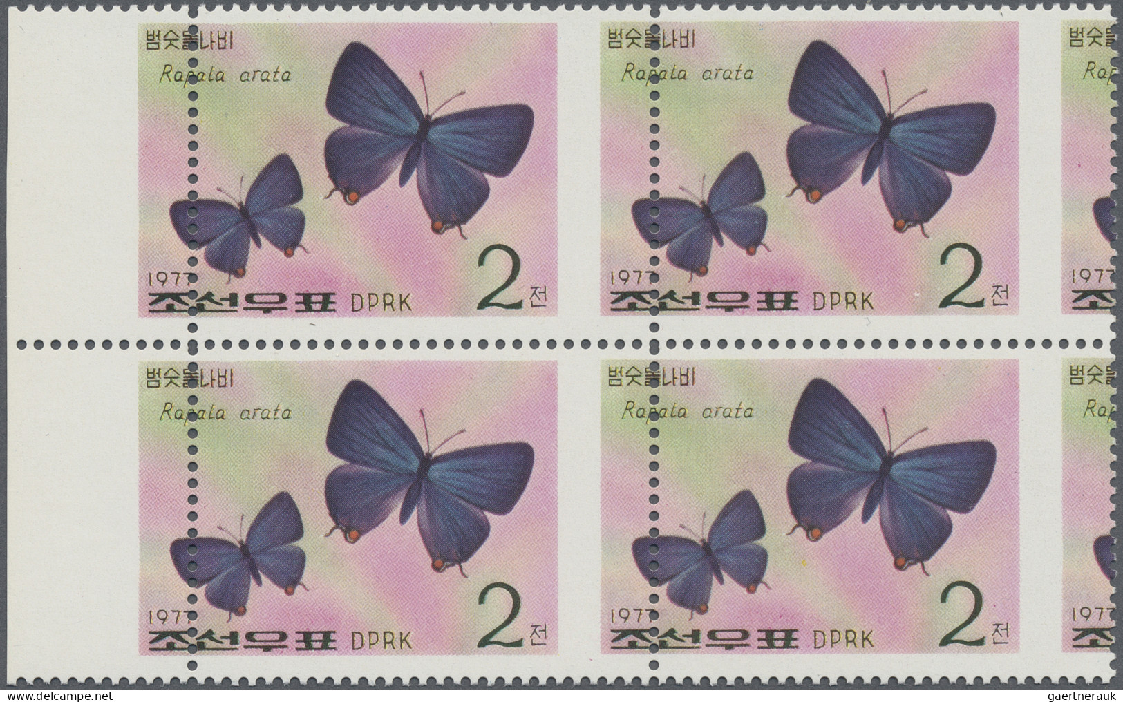 Thematics: Animals-butterflies: 1977, KOREA-NORD: Schmetterlinge 2 Ch. 'Rapala A - Butterflies