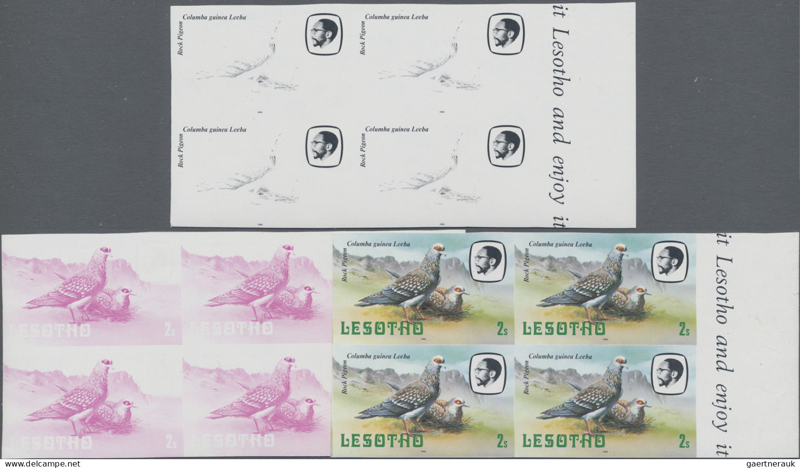 Thematics: Animals-pigeons: 1982 "Dove" 2s., Six Different Progressive Proofs Im - Duiven En Duifachtigen