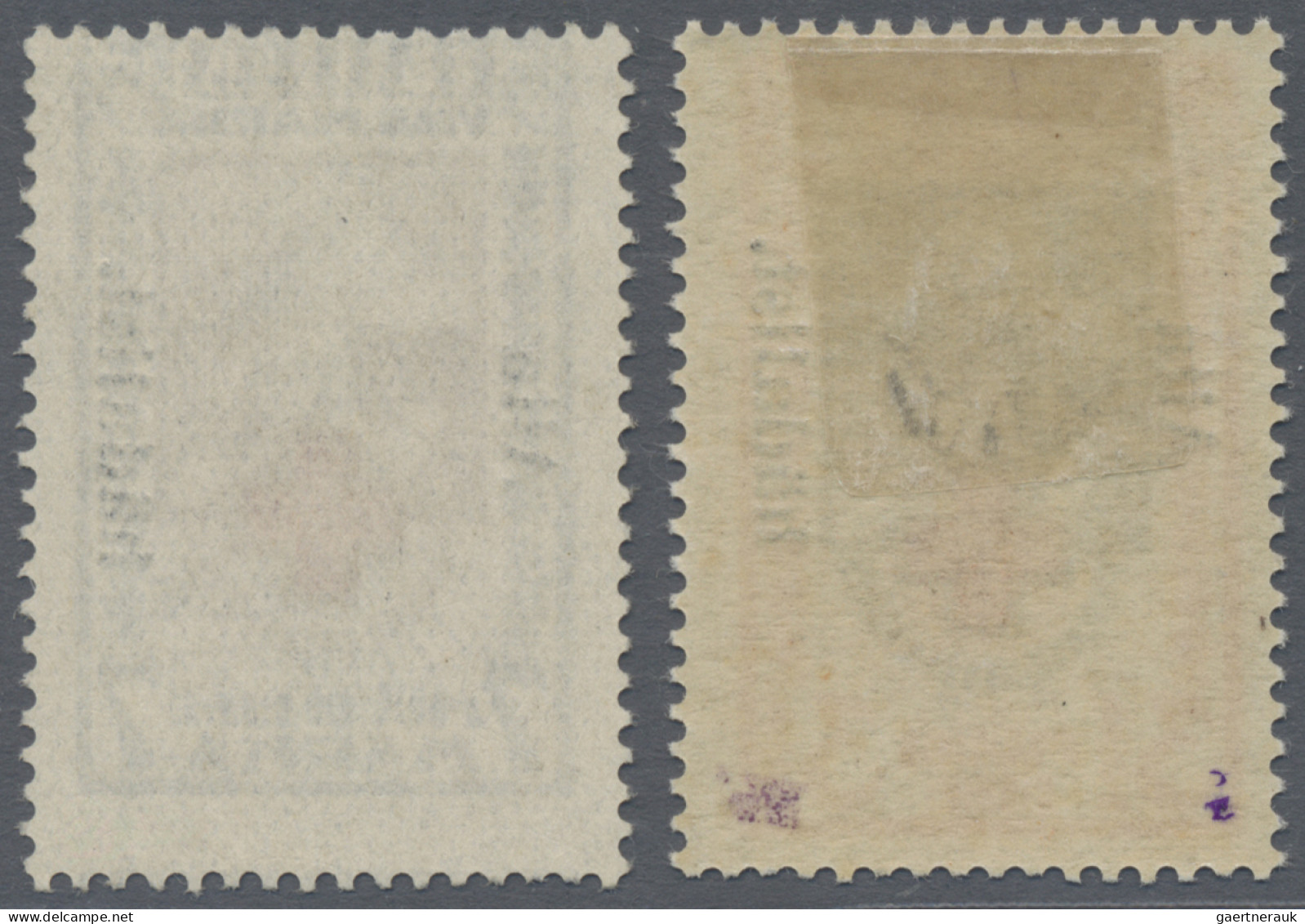 Estonia: 1923, Social Welfare "Aita Hädalist" Perforated, Both Values Unused, 2½ - Estonie