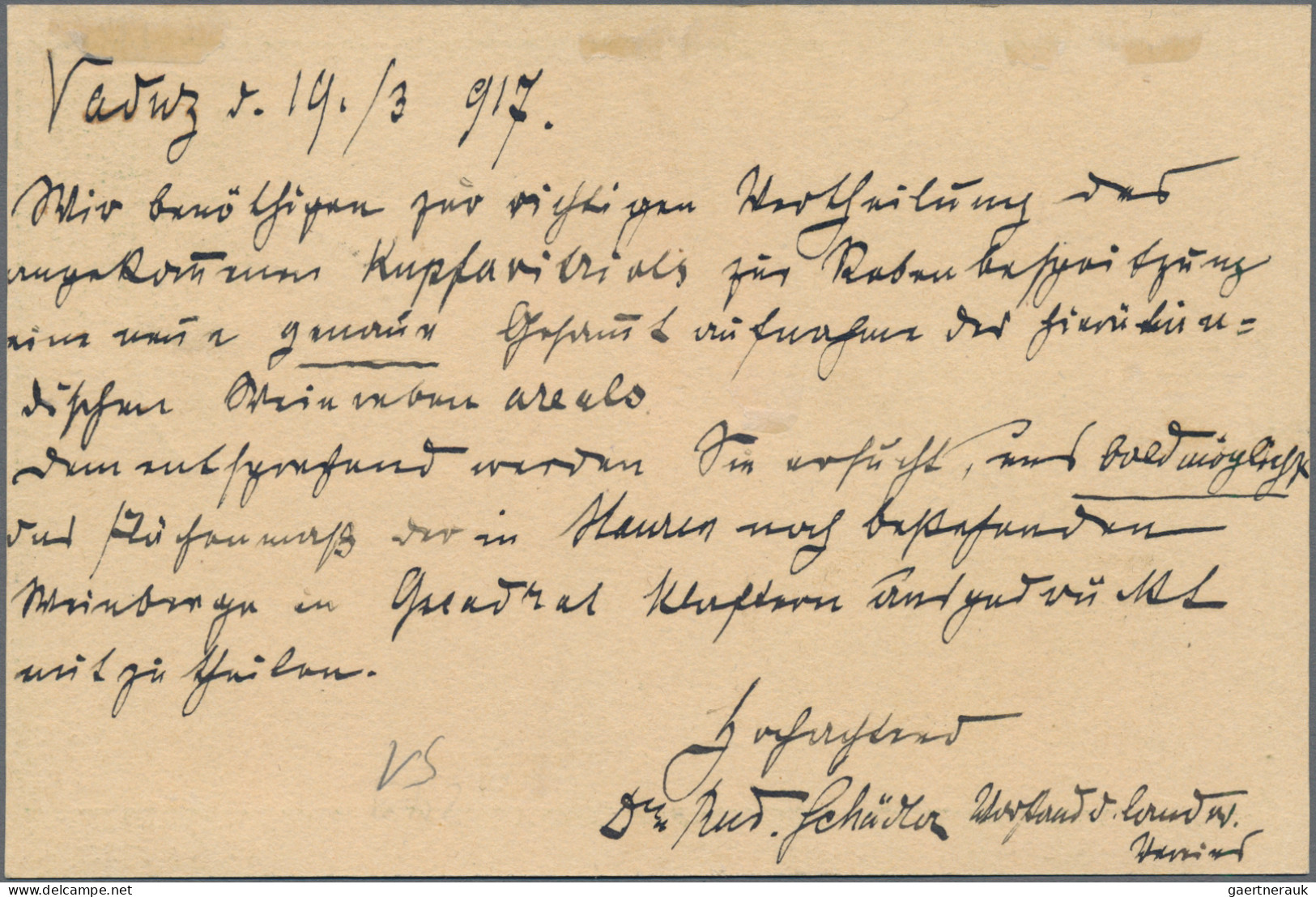 Österreich - Verwendung In Liechtenstein: 1917, GA-Karte 5 H. Grün Kaiser Franz - Andere & Zonder Classificatie