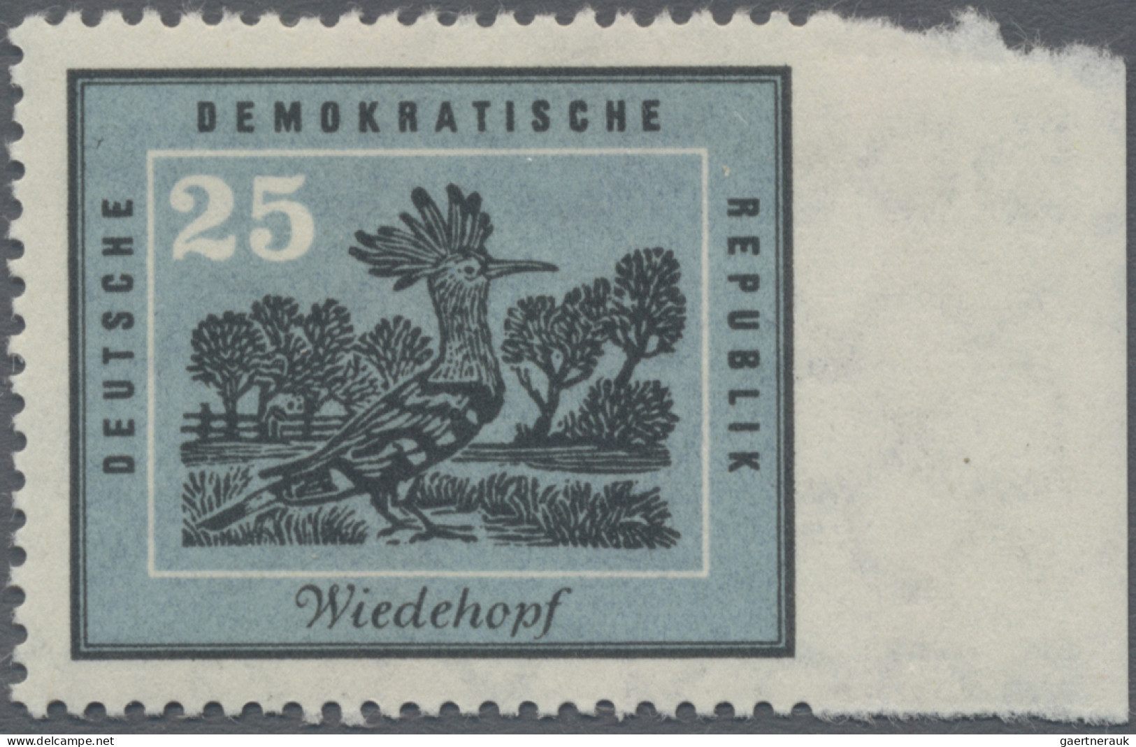 DDR: 1959, 25 Pf Heimische Vögel Rechts Ungezähnt, Rechtes Randstück In Postfris - Neufs