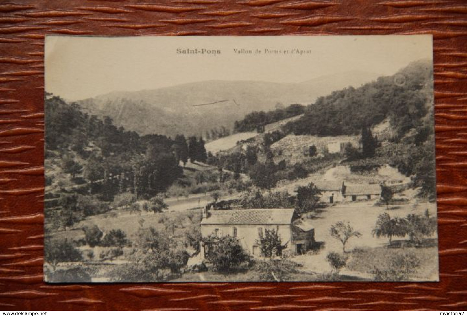 34 - ST PONS : Vallée De PORTES Et D' APIAT. - Saint-Pons-de-Thomières