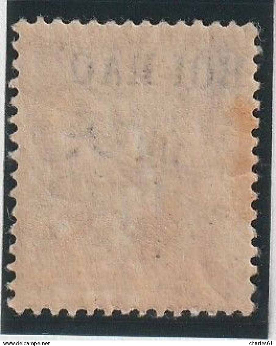 HOI-HAO - N°21 * (1903-04) 15c Gris - Unused Stamps