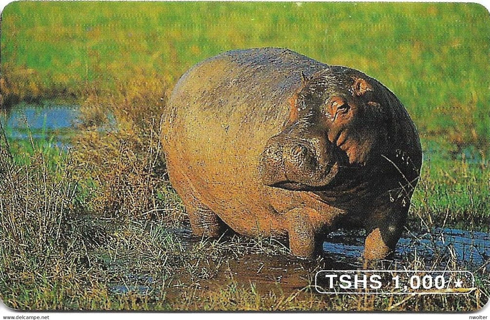 @+ Tanzanie - Hippopotomus - TTCL - Tansania