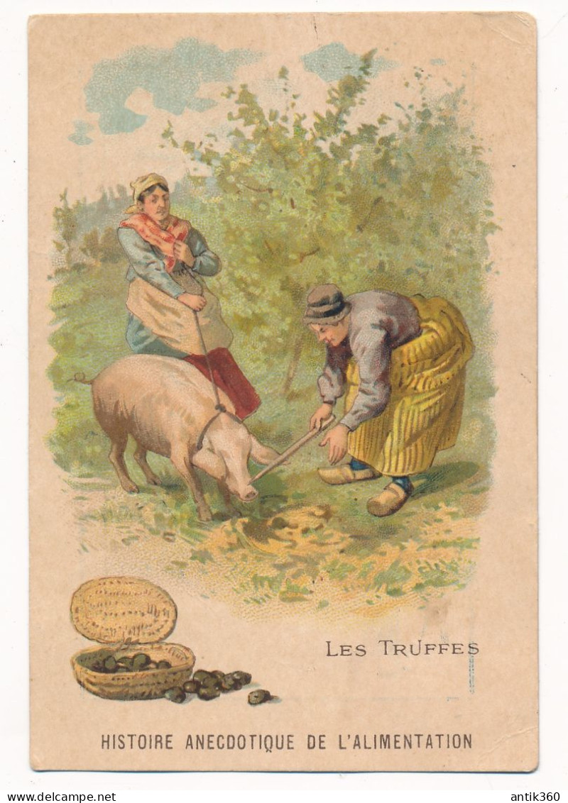 Ancien Chromo Histoire Anecdotique De L'alimentation Les TRUFFES Cochon Truffier Magasins De La Glaneuse Saumur - Autres & Non Classés