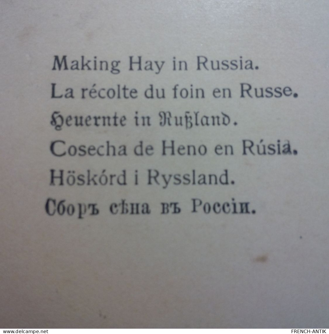 PHOTO STEREO MAKING HAY IN RUSSIA RECOLTE DU FOIN - Photos Stéréoscopiques