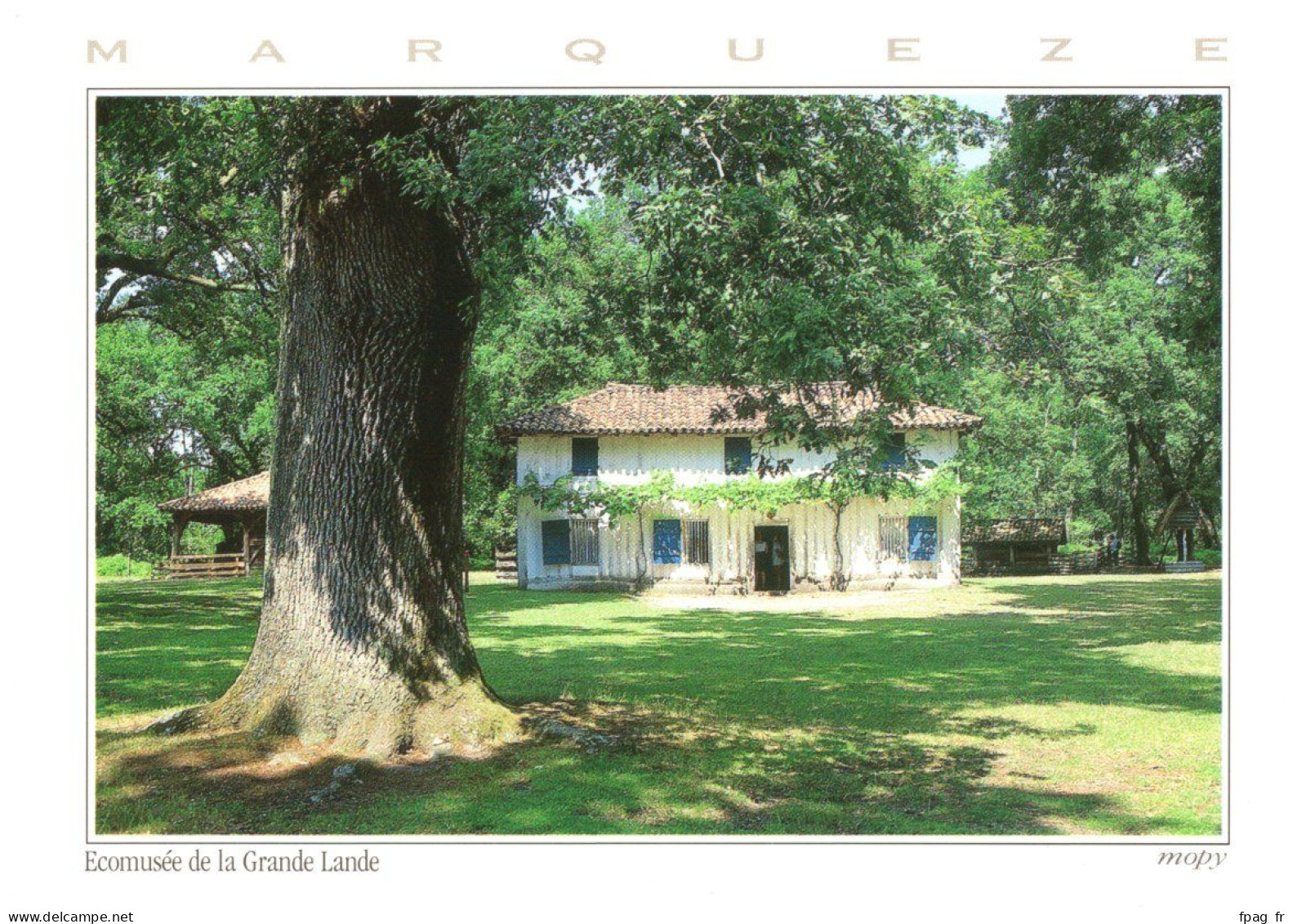 Sabres (40 Landes) - Ecomusée De La Grande Lande - 203 - La Maison Du Métayer - Sabres