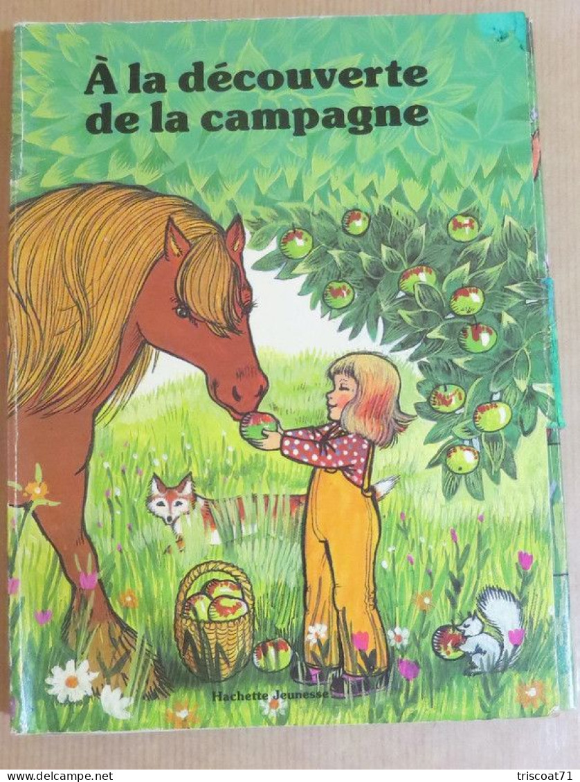 A La Découverte De La Campagne- Hachette - Livre Poster - BE - Hachette