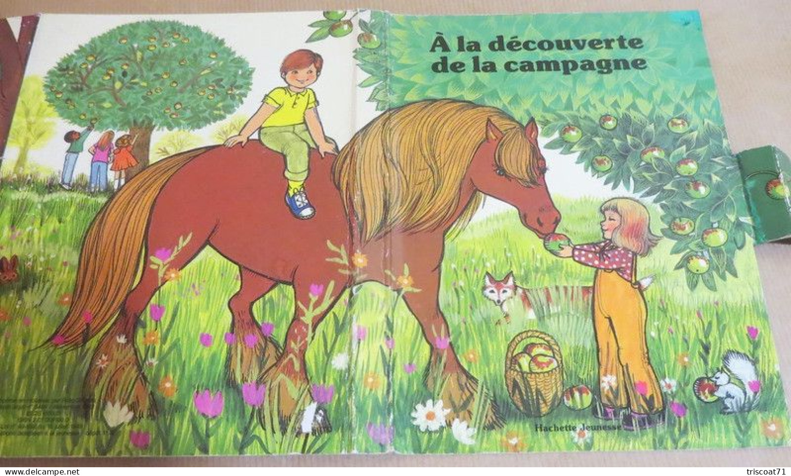 A La Découverte De La Campagne- Hachette - Livre Poster - BE - Hachette