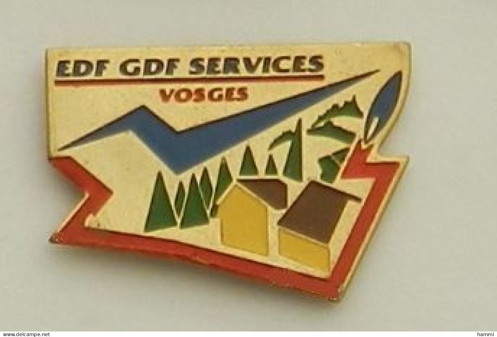 X108 Pin's EDF GDF SERVICES DEPARTEMENT Épinal VOSGES Achat Immediat - EDF GDF