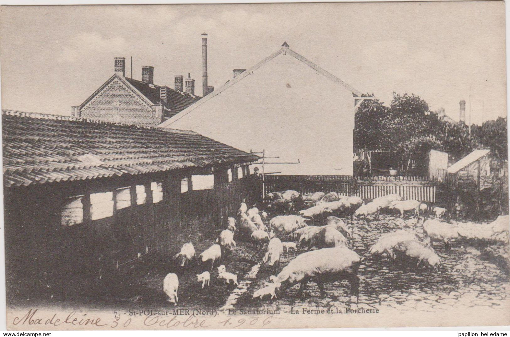 Saint Pol Sur Mer   Le Sanatorium   La Ferme Et La Porcherie - Saint Pol Sur Mer