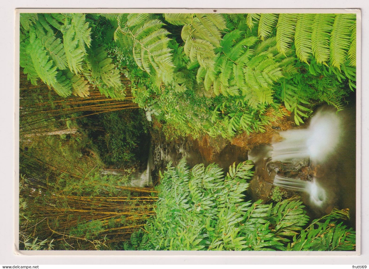 AK 197725 USA - Hawaii - Akaka Falls St. Park - Hawaï