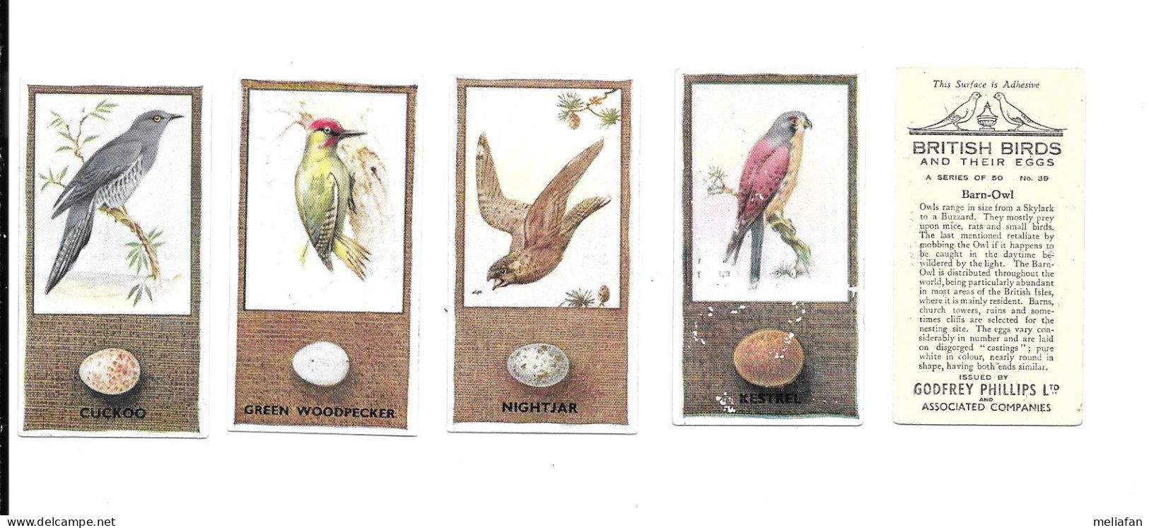 AZ60 - SERIE COMPLETE 50 CARTES CIGARETTES GODFREY PHILLIPS - BRITISH BIRDS - Phillips / BDV