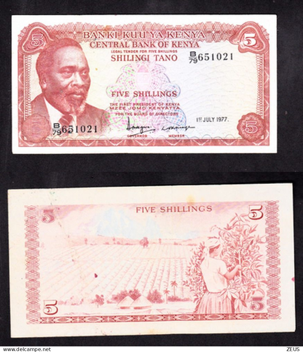 KENIA 5 SHILLING 1977 PIK 11D BB - Kenia