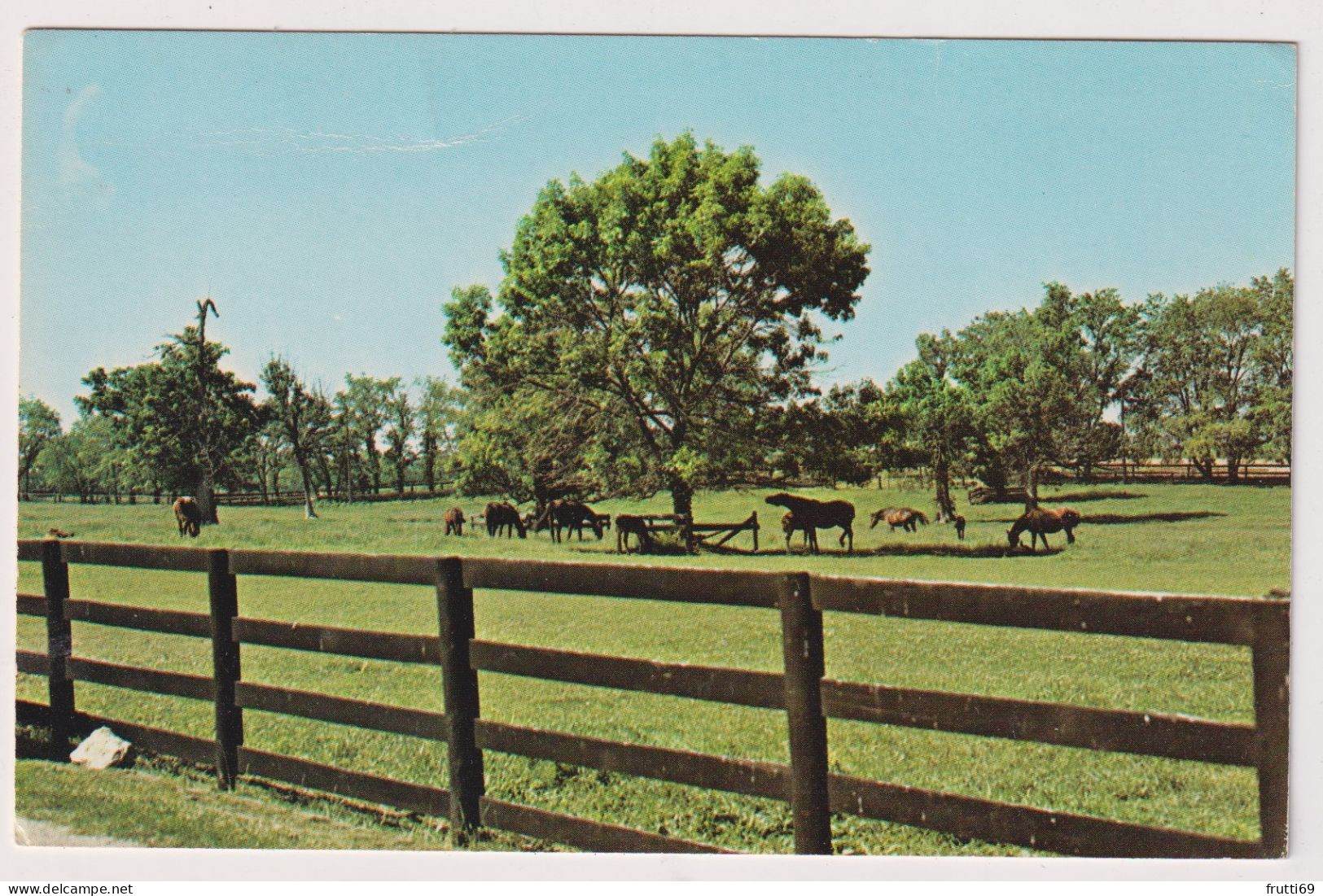 AK 197744 USA - Kentucky - A Blue Grass Horse Darm Near Lexington - Otros & Sin Clasificación