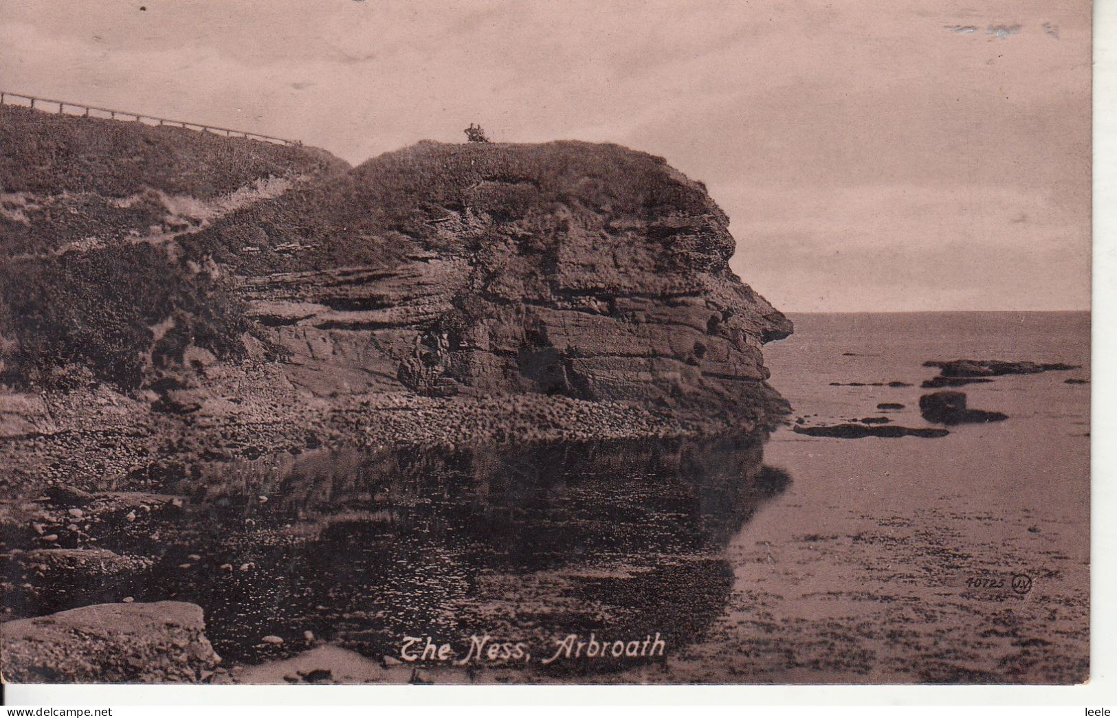 BM90. Vintage Postcard . The Ness, Arbroath. Angus - Angus