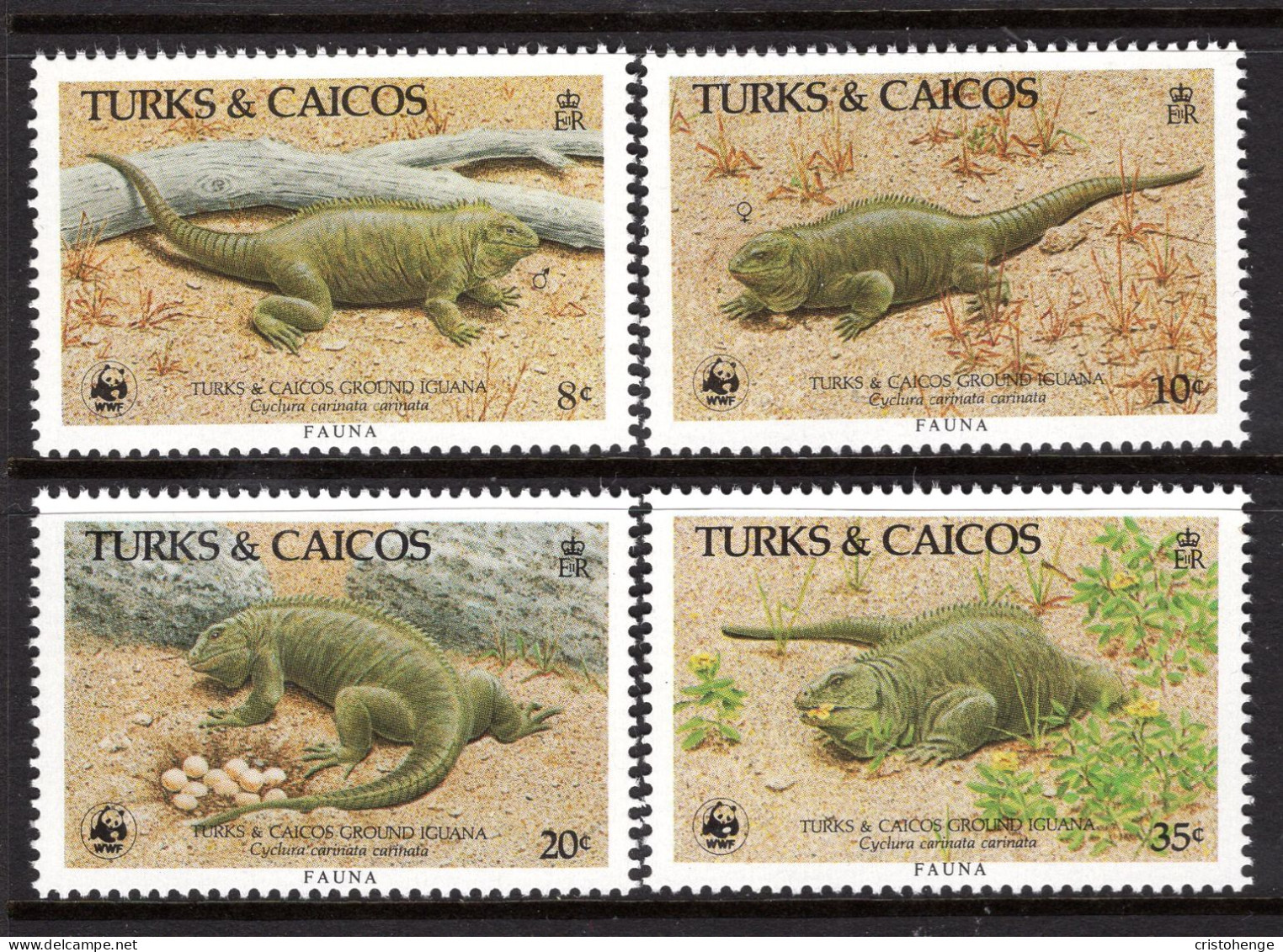 Turks & Caicos Islands 1986 Turks & Caicos Ground Iguana Set MNH (SG 888-891) - Turks And Caicos