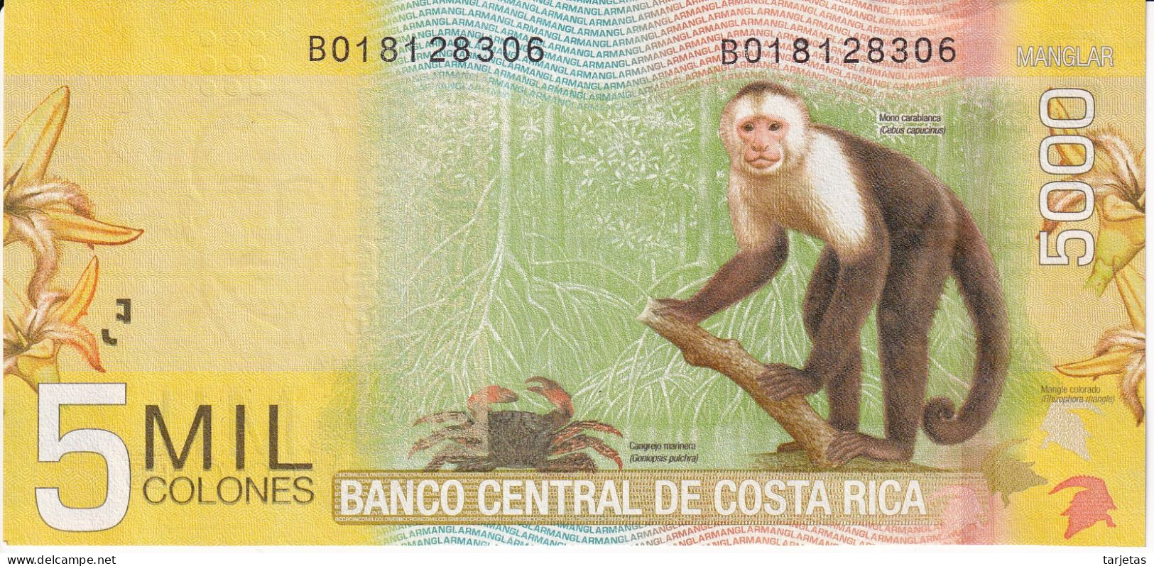 BILLETE DE COSTA RICA DE 5000 COLONES DEL AÑO 2012 SIN CIRCULAR (UNC) (MONO-MONKEY)  (BANKNOTE) - Costa Rica