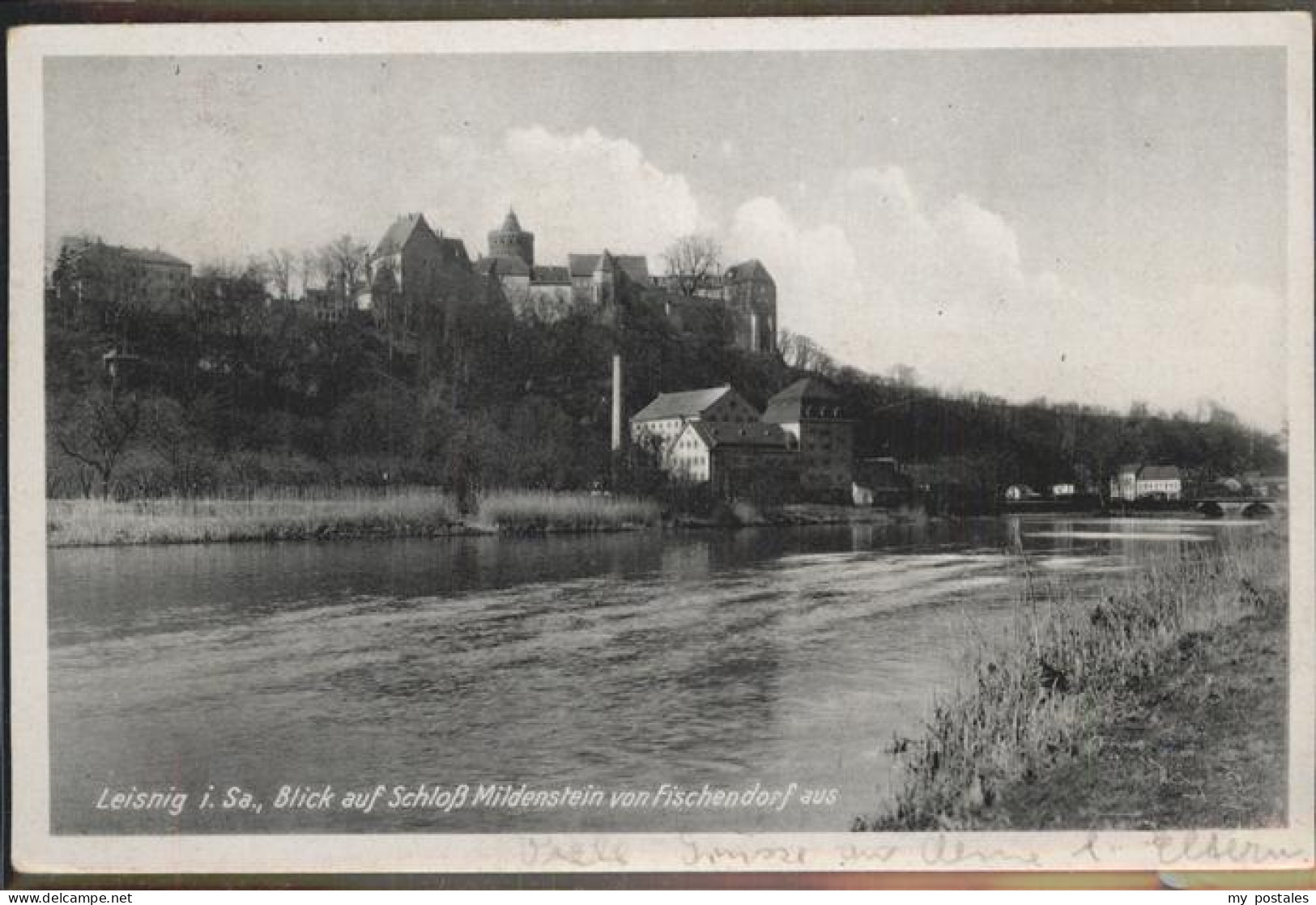 41333011 Leisnig Blick Von Fischendorf Auf Schloss Mildenstein Leisnig - Leisnig