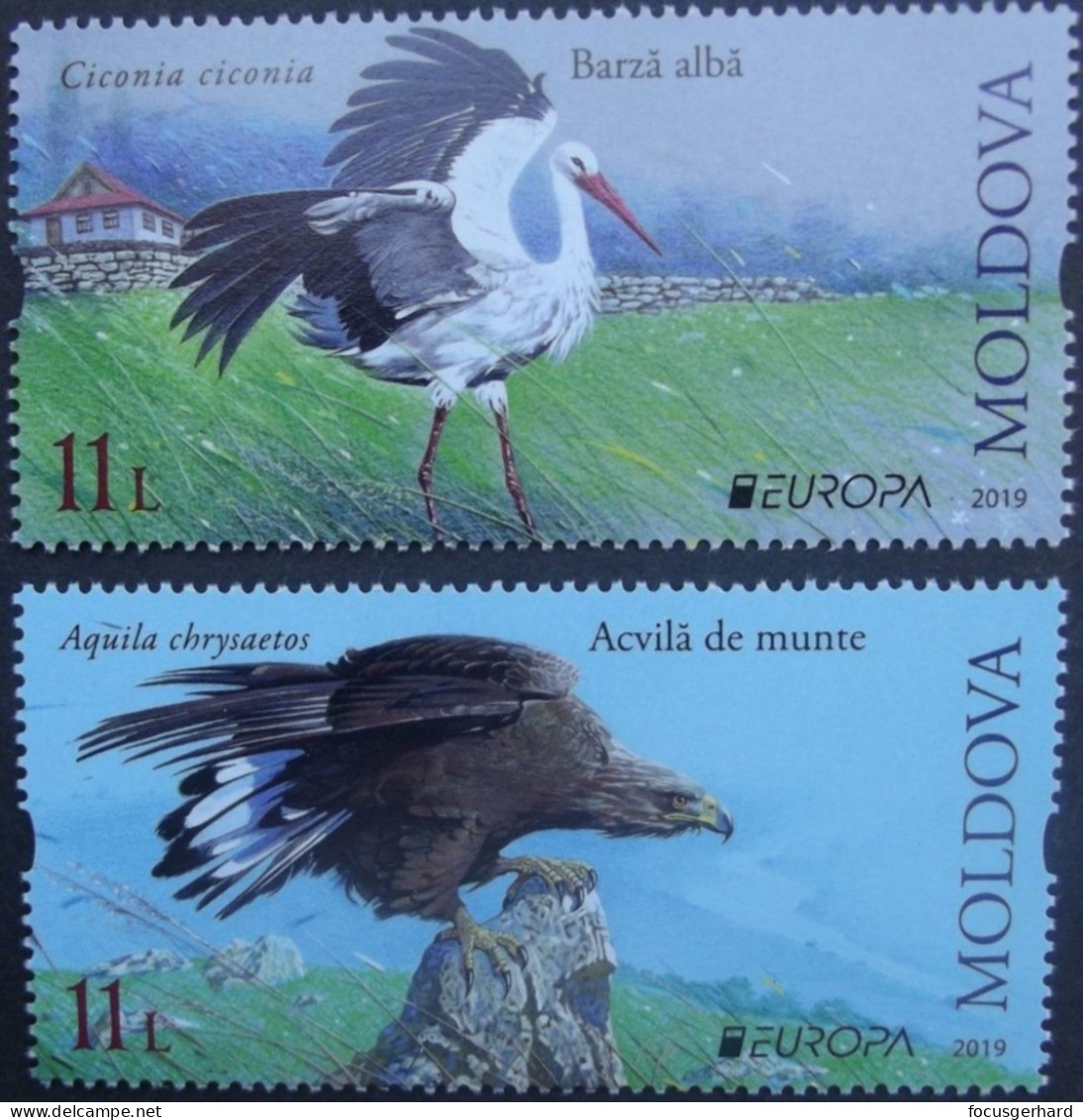 Moldawien    Europa  Cept   Nationale Vögel   2019    ** - 2019