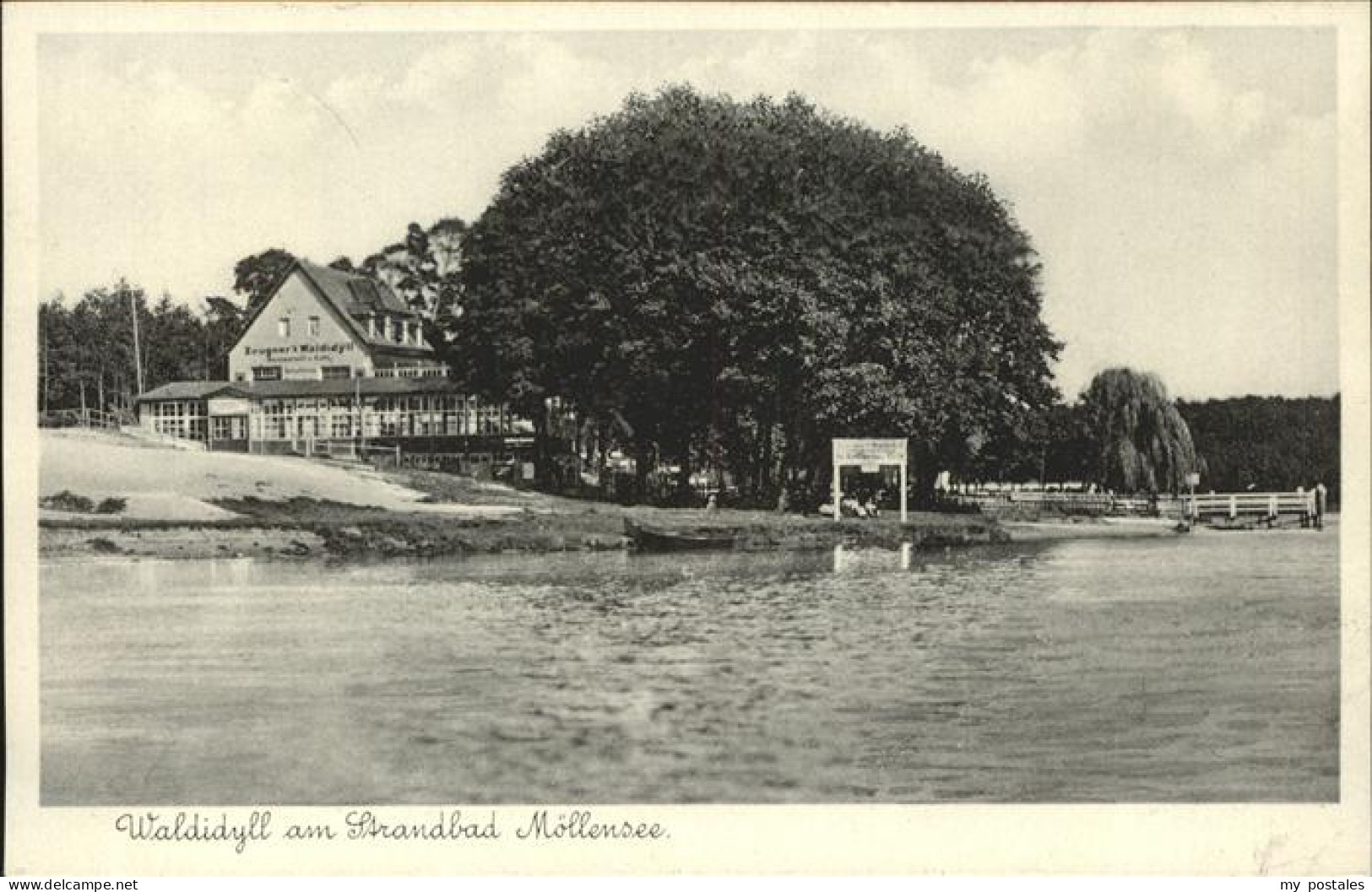 41332520 Moellensee Waldidyll Am Strandbad Moellensee - Grünheide