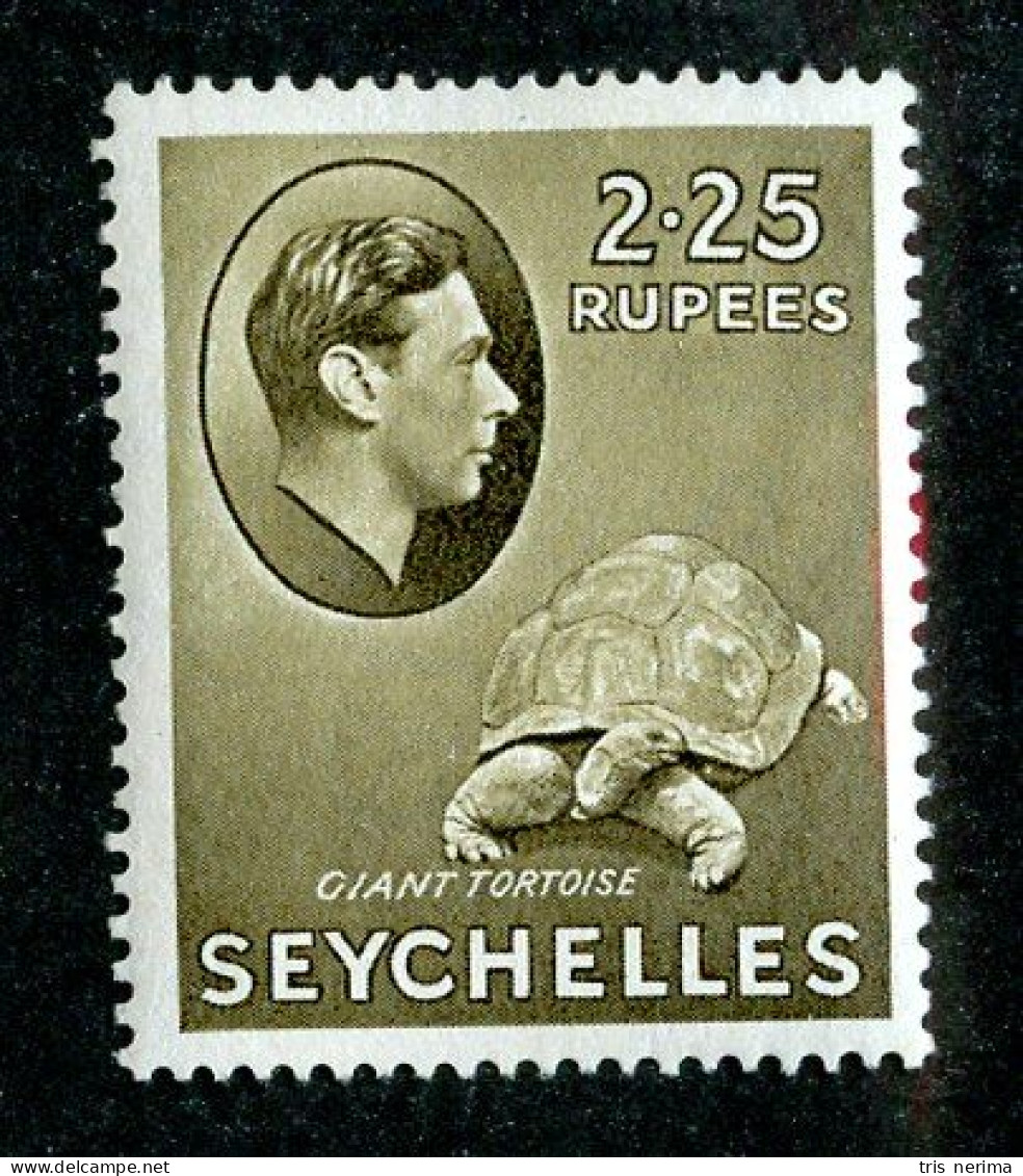 8181 BCXX 1938 Seychelles Scott # 147 MLH* (offers Welcome) - Seychelles (...-1976)