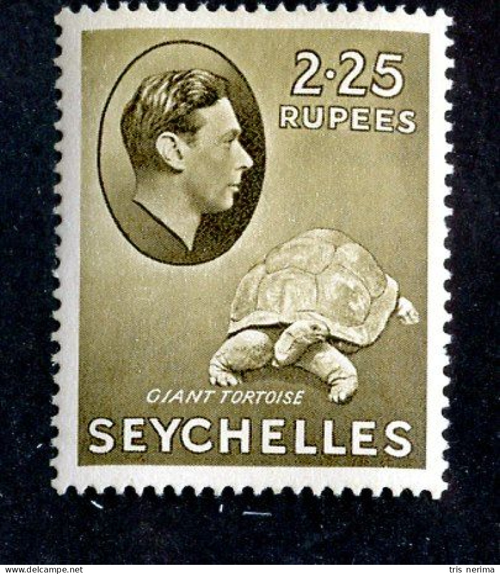 8182 BCXX 1938 Seychelles Scott # 147 MNH** (offers Welcome) - Seychelles (...-1976)