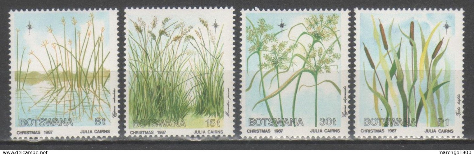 Botswana 1987 - Flora           (g9508) - Vegetazione