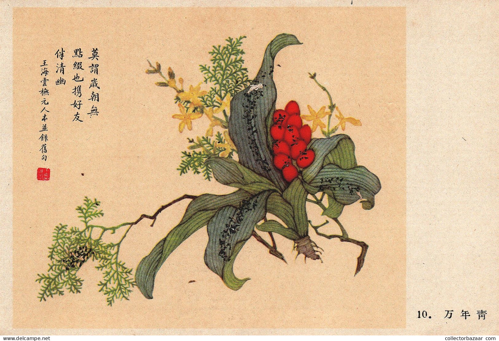 Postcard, topic ethnics, China Different Cultural Flowers from Wang Hai-Yun, collection of postcards