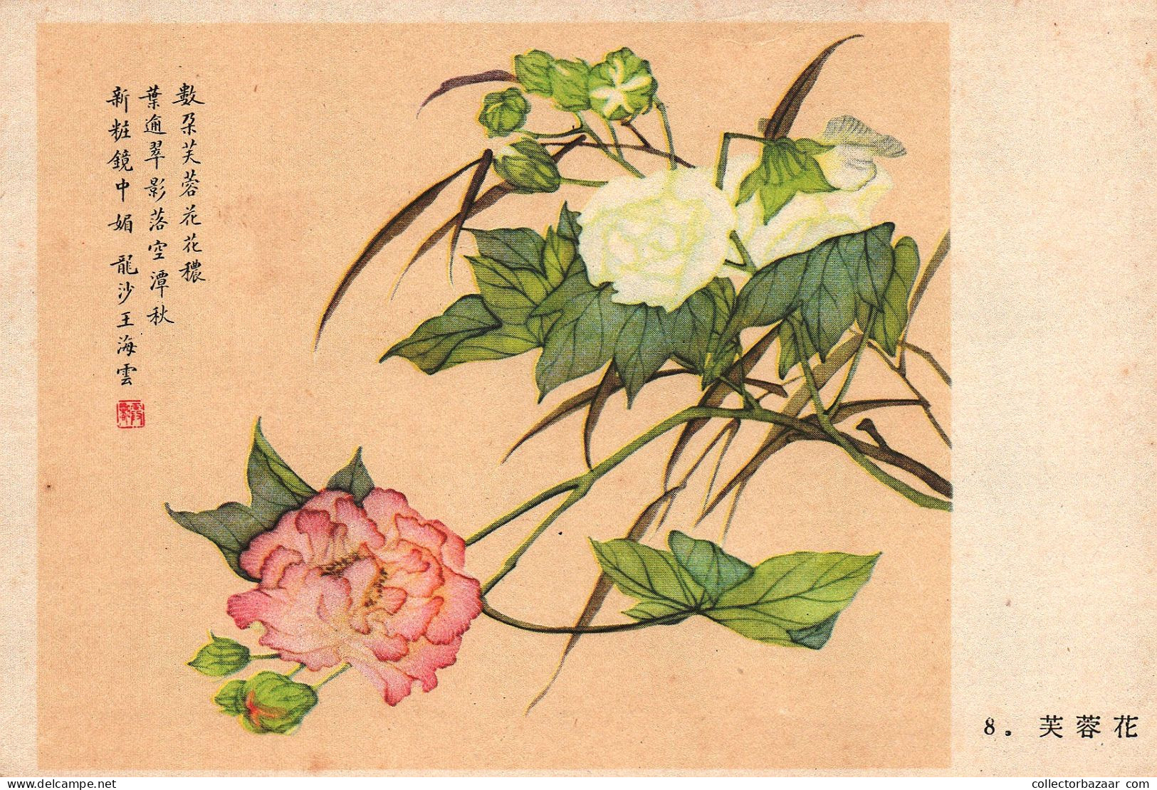 Postcard, topic ethnics, China Different Cultural Flowers from Wang Hai-Yun, collection of postcards