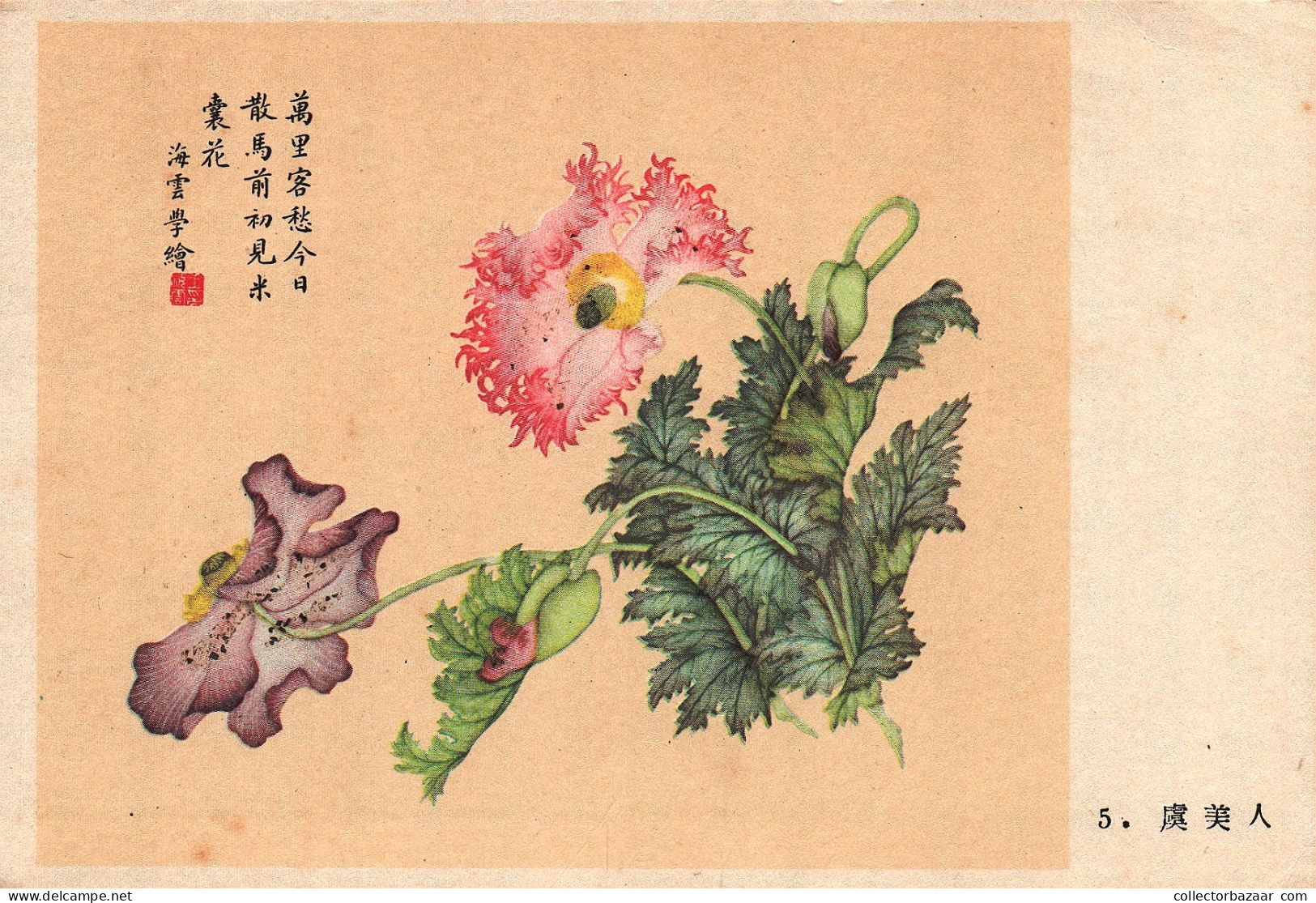 Postcard, topic ethnics, China Different Cultural Flowers from Wang Hai-Yun, collection of postcards