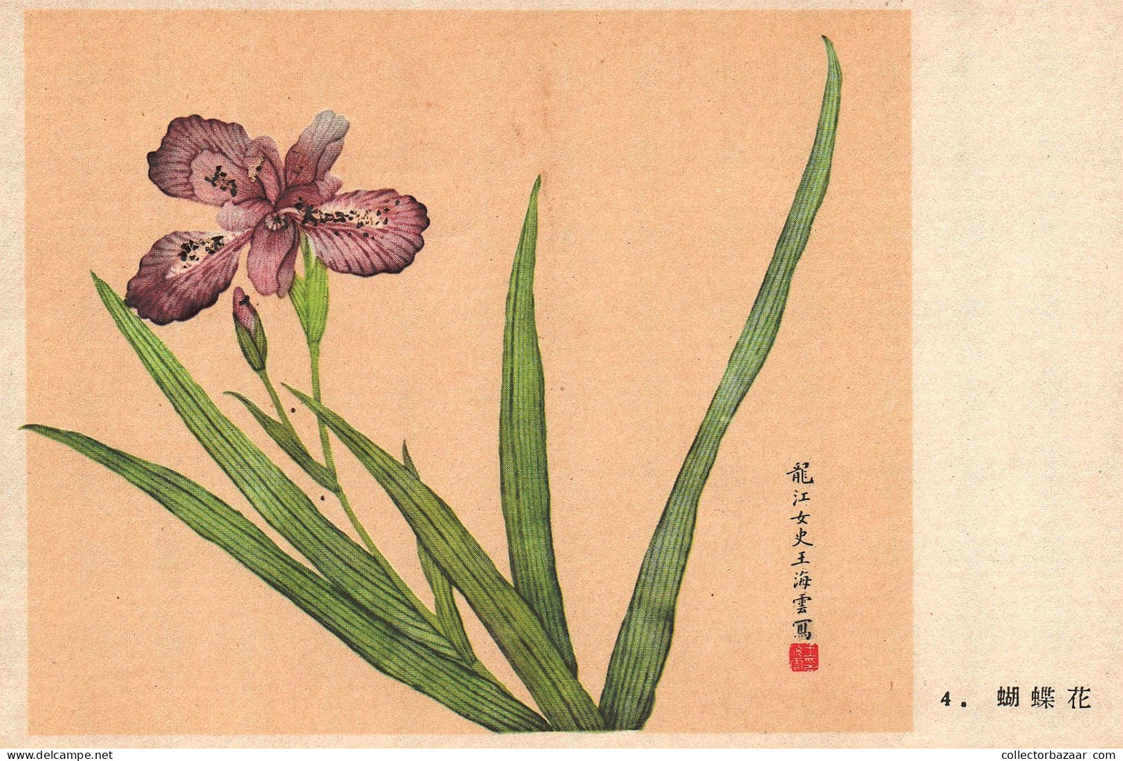 Postcard, topic ethnics, China Different Cultural Flowers from Wang Hai-Yun, collection of postcards