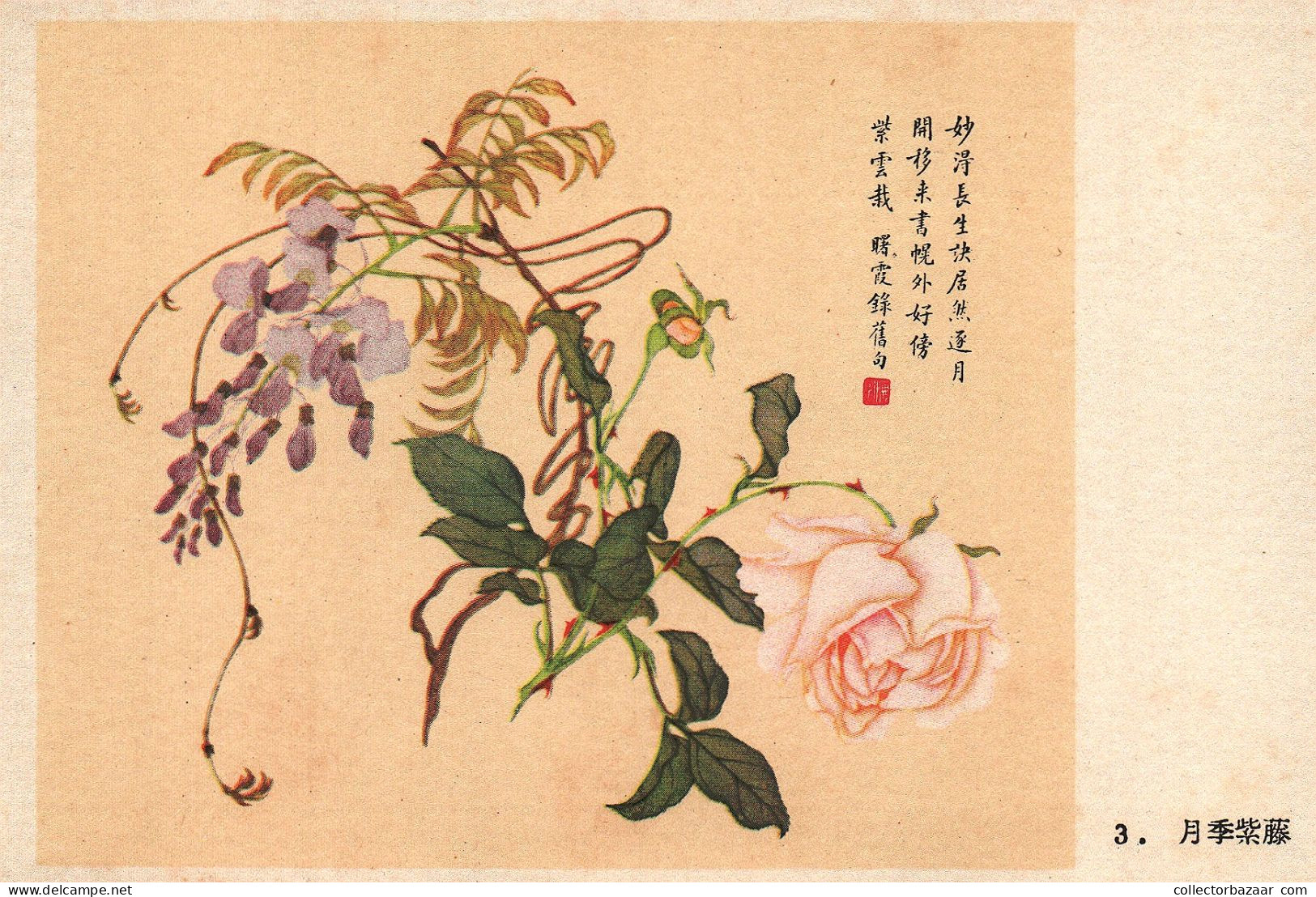 Postcard, topic ethnics, China Different Cultural Flowers from Wang Hai-Yun, collection of postcards