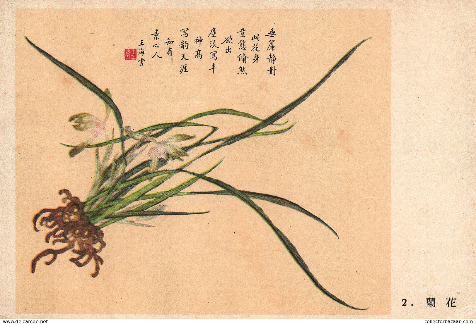 Postcard, topic ethnics, China Different Cultural Flowers from Wang Hai-Yun, collection of postcards