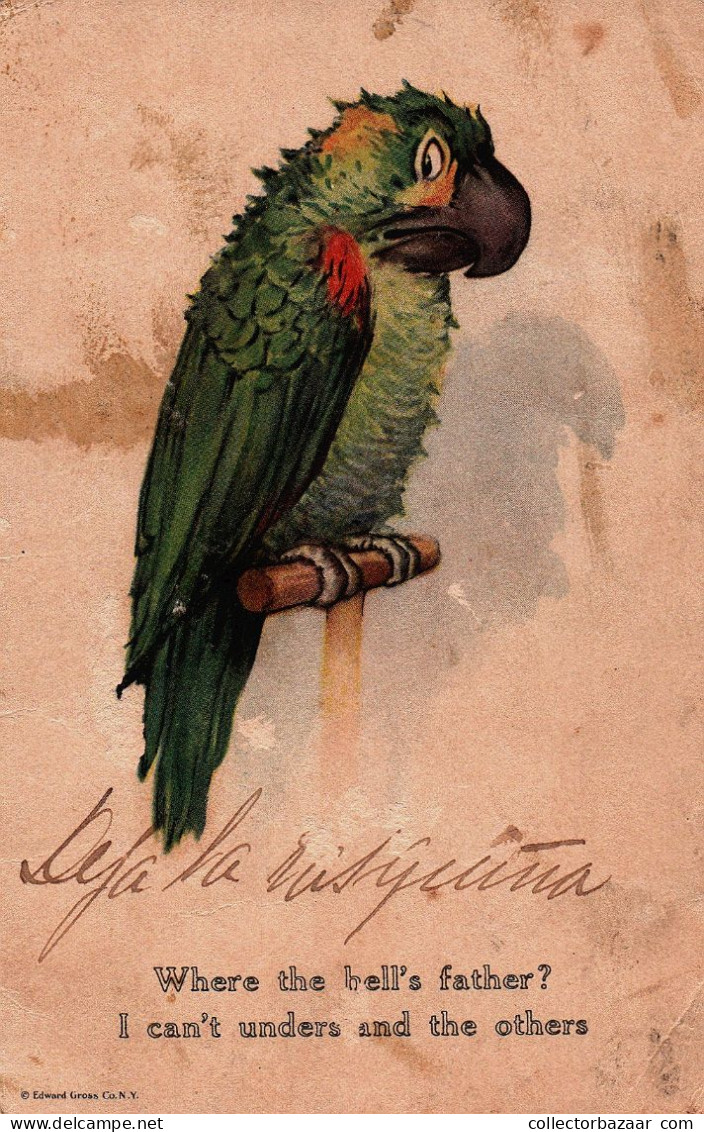 Postcard, Topic Animals,  Parrot Illustration - Collections & Lots