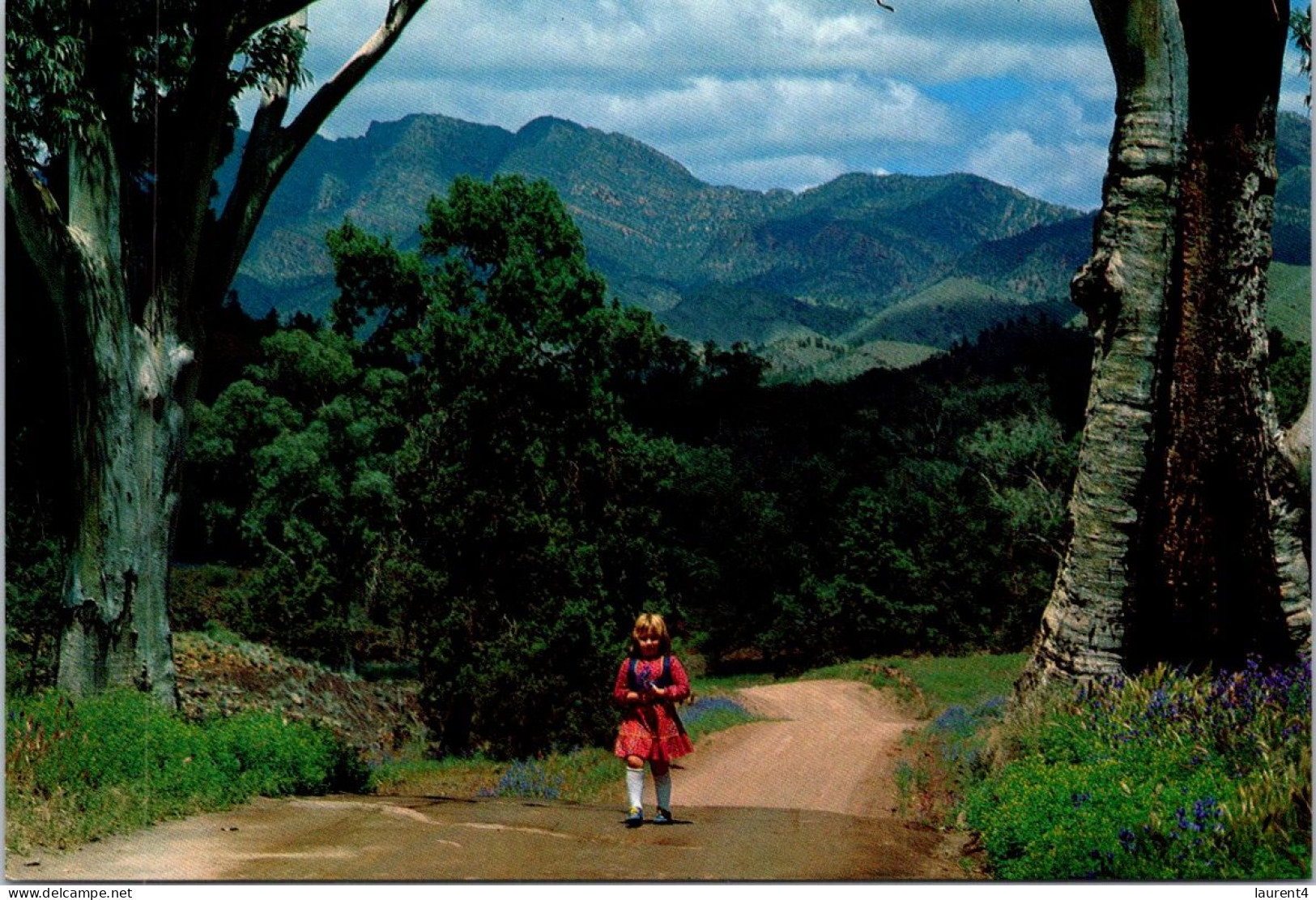 32-1-2024 (2 X 10) Australia (2 Pre-pai Maxicqrd) South Australia (SA) Wilderness (Flinders Ranges) - Flinders Ranges