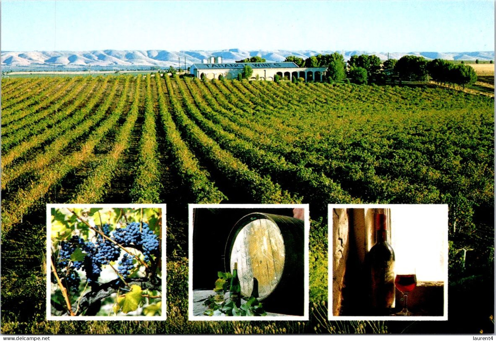 32-1-2024 (2 X 10) Australia (2 Pre-pai Maxicqrd) South Australia (SA) Wineyard & Shops - Barossa Valley