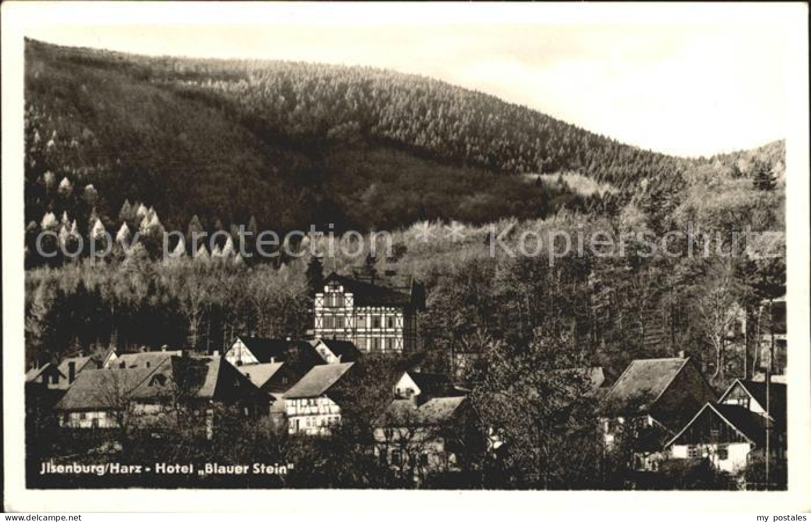 71980074 Ilsenburg Harz Hotel Blauer Stein Ilsenburg - Ilsenburg