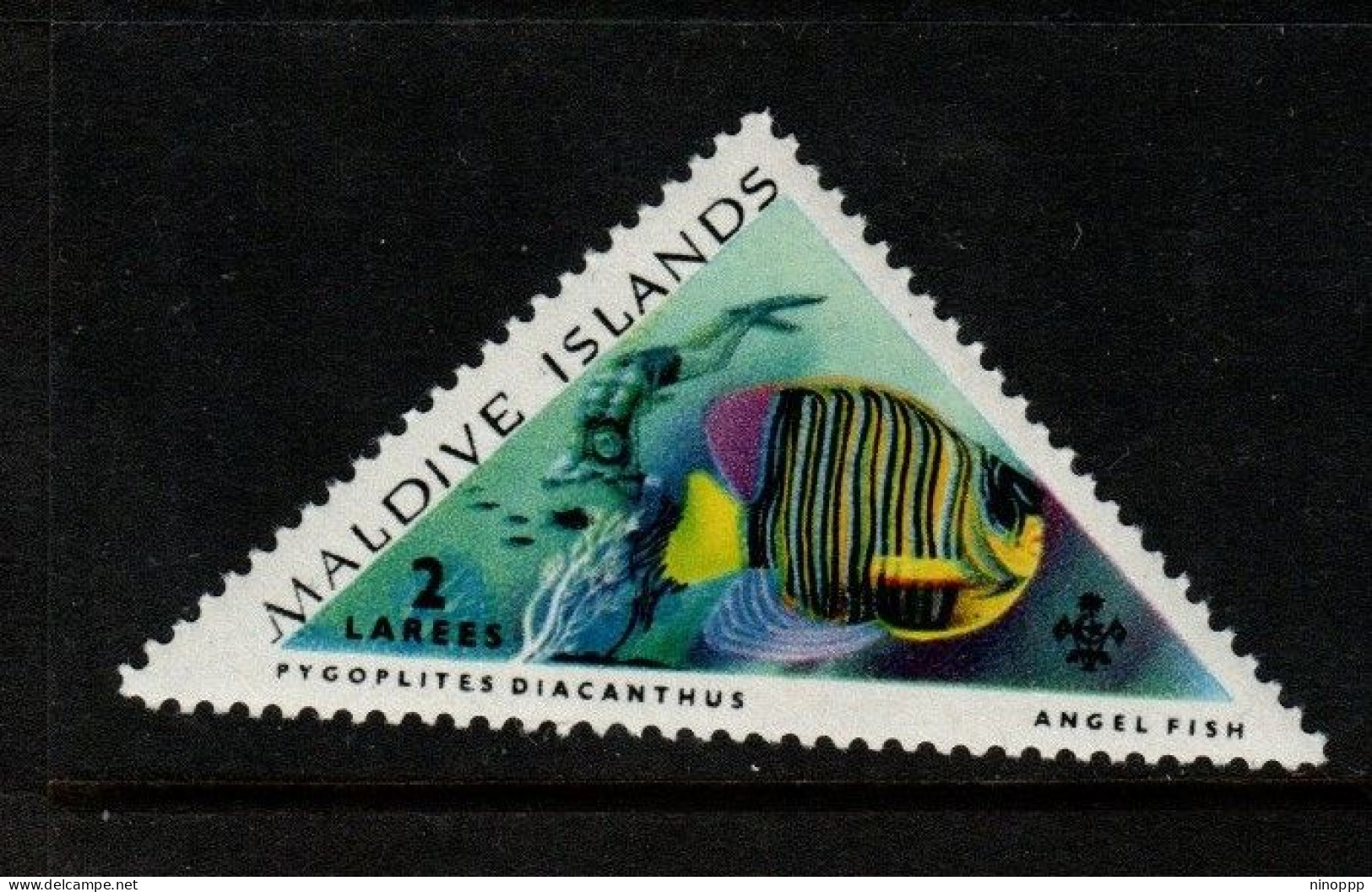 Maldives Cat 109 1963 Tropical Fish 2l Pygoplites Diacanthus, Mint Hinged - Maldives (...-1965)