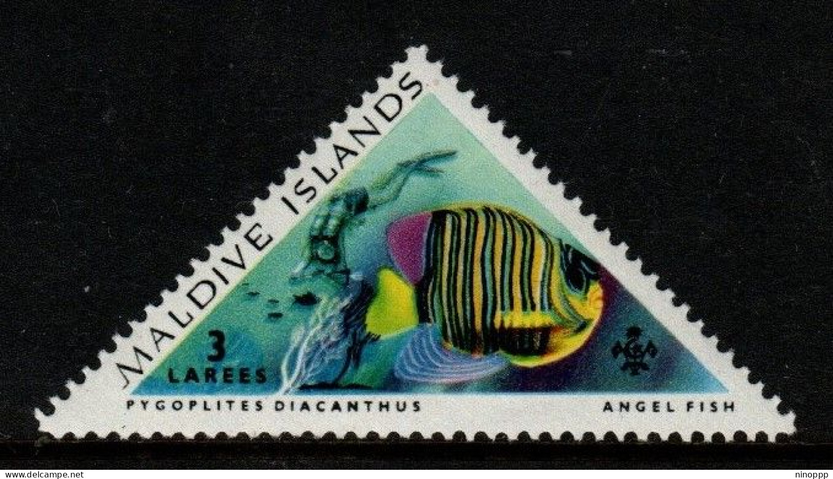 Maldives Cat 110 1963 Tropical Fish 3l Pygoplites Diacanthus, Mint Hinged - Maldives (...-1965)