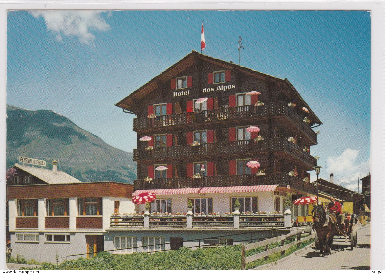Grächen, Hotel Des Alpes. F. Ruff-Andenmatten. 10 X 15 - Grächen