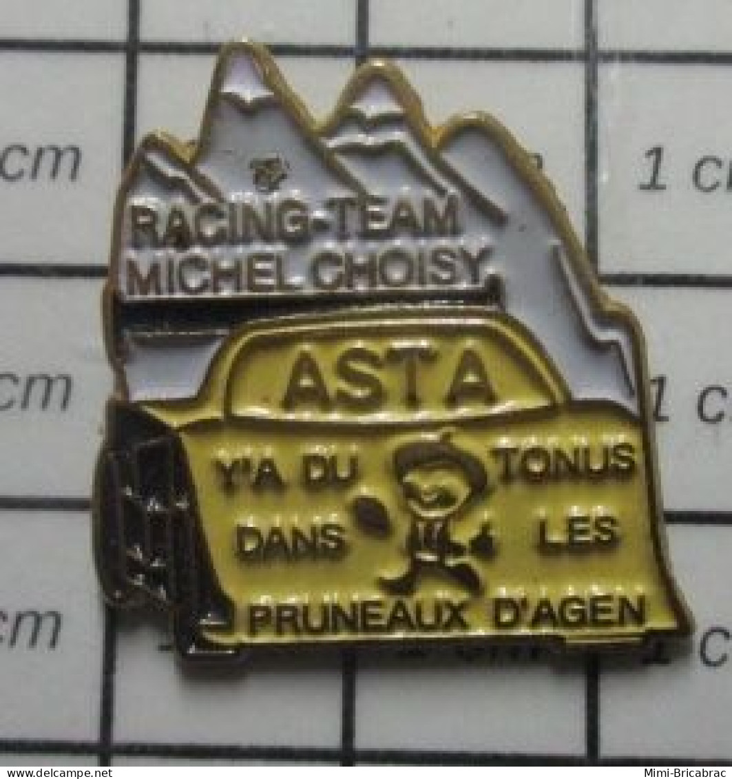 210c Pin's Pins / Beau Et Rare / THEME : SPORTS / AUTOMOBILE RACING TEAM MICHEL CHOISY ASTA Y'A DU TONUS DANS LES PRUNES - Rallye