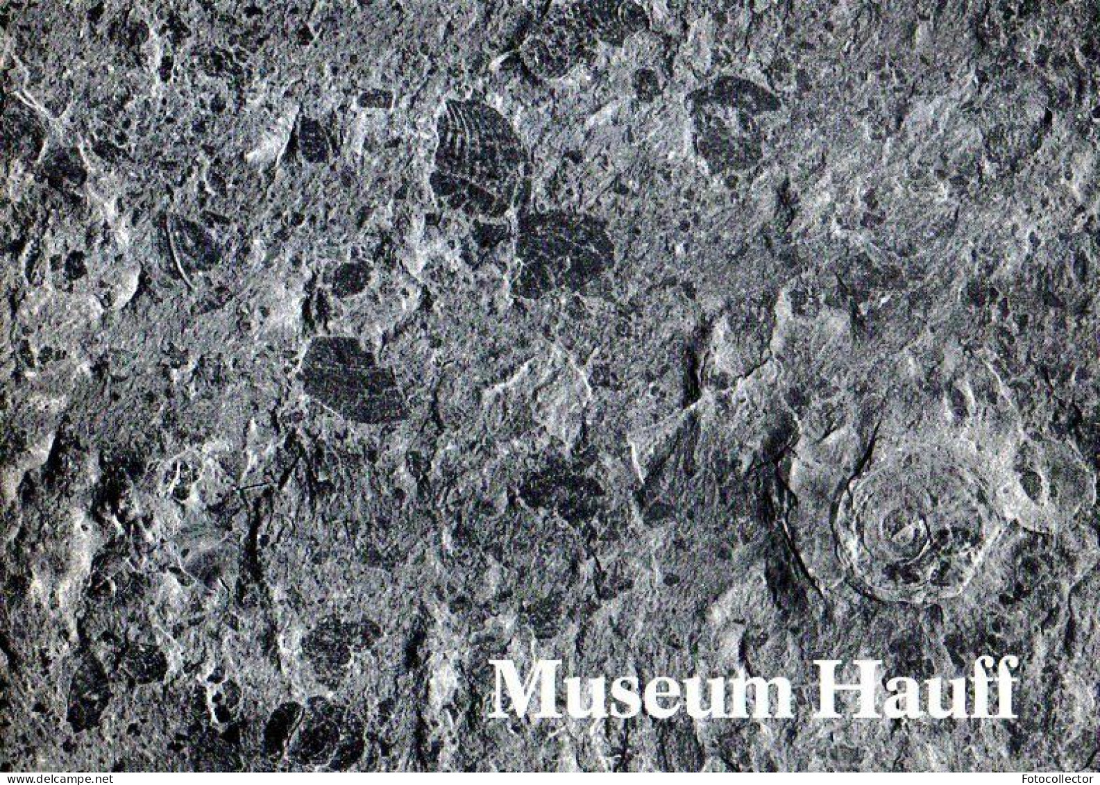 Paléontologie : Livret De Présentation Du Musée Hauff à Holzmaden/Teck (Allemagne) - Archéologie