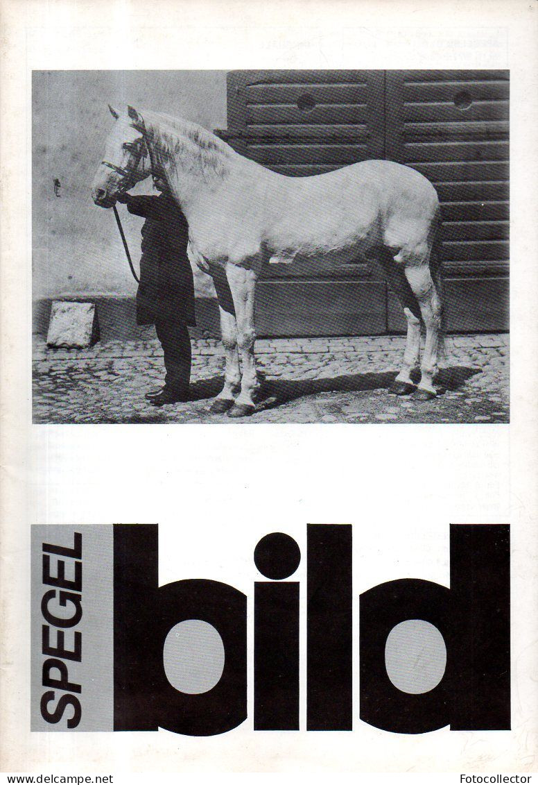 Suède Photographie : Spegel Bild N°1 (1977) - Skandinavische Sprachen