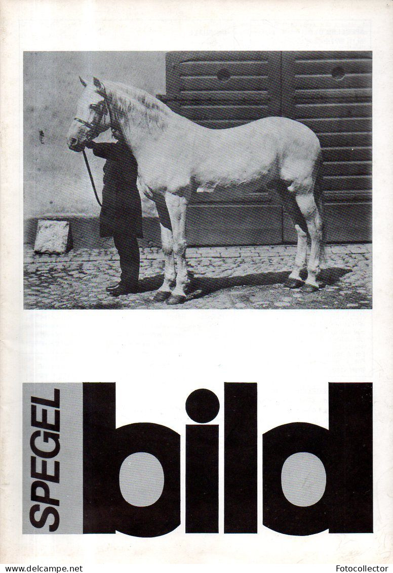 Suède Photographie : Spegel Bild N°1 (1977) - Lingue Scandinave