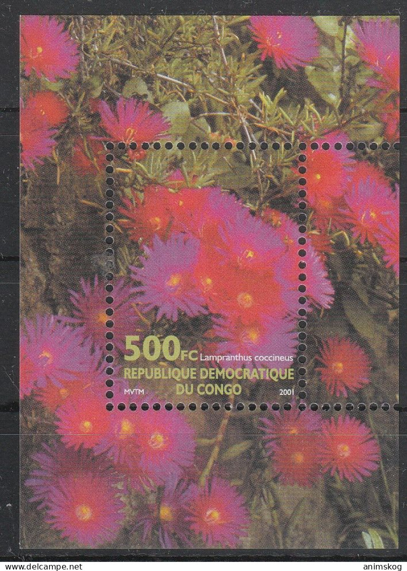 Kongo (Kinshasa) 2002**, Blumen, Sukkulenten / Kongo (Kinshasa), MNH, Flowers, Succulents - Sukkulenten