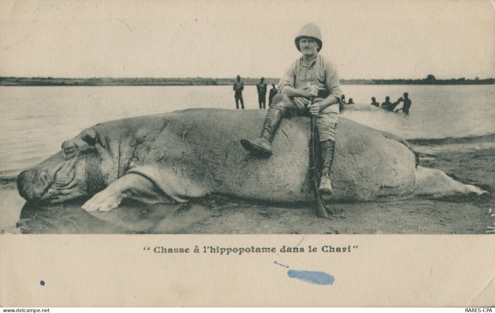 BANGUI - Chasse à L'hippopotame Dans Le Chari - Albert Coulaty Chef Du Service Des Mines - Central African Republic