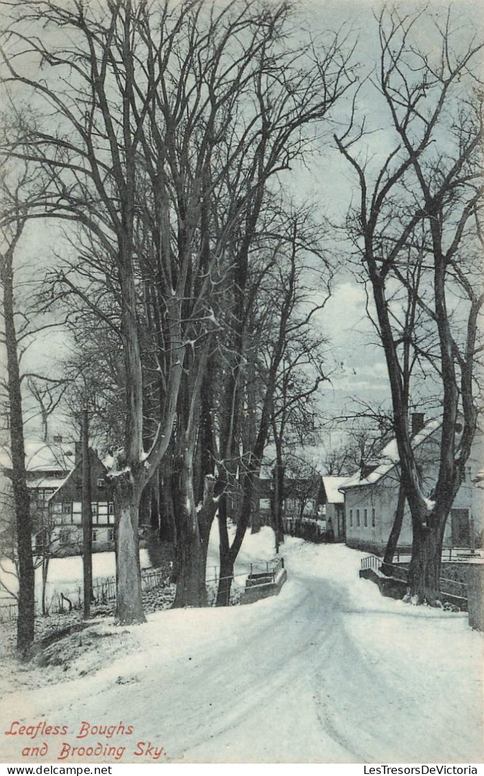 ROYAUME UNI - Leafless Boughs And Brooding Sky - Carte Postale Ancienne - Autres & Non Classés